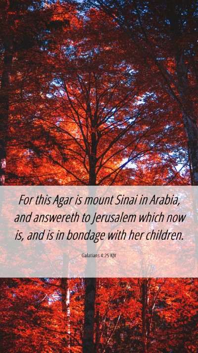 Picture 06 - Galatians 4:25 KJV Mobile Phone Wallpaper - For this Agar is mount Sinai in Arabia, and - Mobile Bible Verse Wallpaper