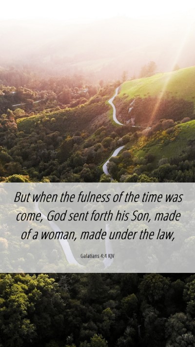 Picture 06 - Galatians 4:4 KJV Mobile Phone Wallpaper - But when the fulness of the time was come, God - Mobile Bible Verse Wallpaper