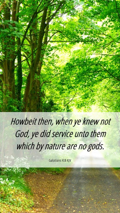 Picture 06 - Galatians 4:8 KJV Mobile Phone Wallpaper - Howbeit then, when ye knew not God, ye did - Mobile Bible Verse Wallpaper
