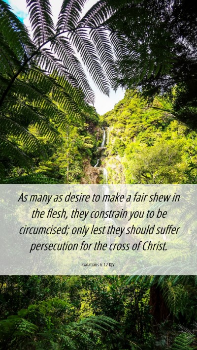 Picture 06 - Galatians 6:12 KJV Mobile Phone Wallpaper - As many as desire to make a fair shew in the - Mobile Bible Verse Wallpaper