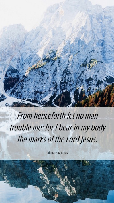 Picture 06 - Galatians 6:17 KJV Mobile Phone Wallpaper - From henceforth let no man trouble me: for I bear - Mobile Bible Verse Wallpaper