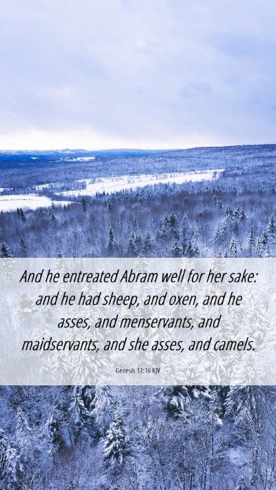 Picture 06 - Genesis 12:16 KJV Mobile Phone Wallpaper - And he entreated Abram well for her sake: and he - Mobile Bible Verse Wallpaper