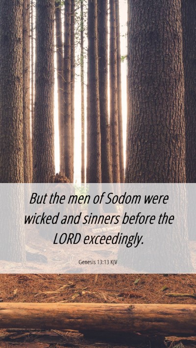 Picture 06 - Genesis 13:13 KJV Mobile Phone Wallpaper - But the men of Sodom were wicked and sinners - Mobile Bible Verse Wallpaper