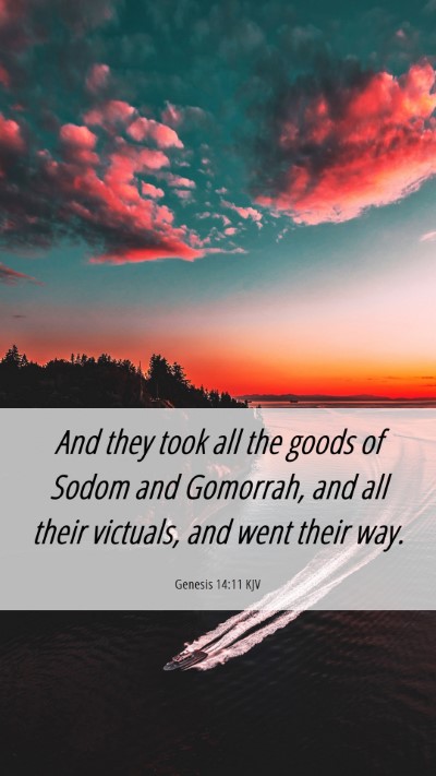 Picture 06 - Genesis 14:11 KJV Mobile Phone Wallpaper - And they took all the goods of Sodom and - Mobile Bible Verse Wallpaper