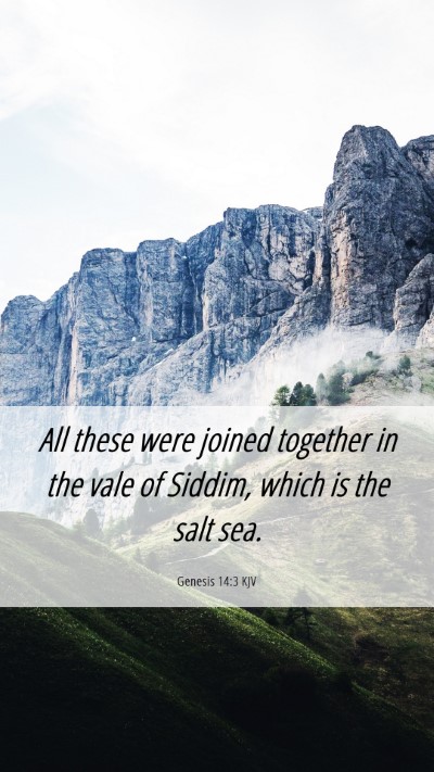 Picture 06 - Genesis 14:3 KJV Mobile Phone Wallpaper - All these were joined together in the vale of - Mobile Bible Verse Wallpaper
