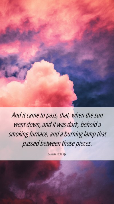 Picture 06 - Genesis 15:17 KJV Mobile Phone Wallpaper - And it came to pass, that, when the sun went - Mobile Bible Verse Wallpaper
