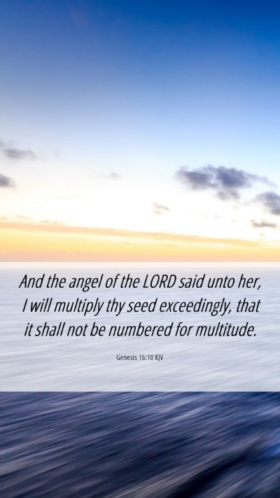 Picture 06 - Genesis 16:10 KJV Mobile Phone Wallpaper - And the angel of the LORD said unto her, I will - Mobile Bible Verse Wallpaper