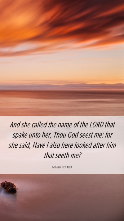 Picture 06 - Genesis 16:13 KJV Mobile Phone Wallpaper - And she called the name of the LORD that spake - Mobile Bible Verse Wallpaper