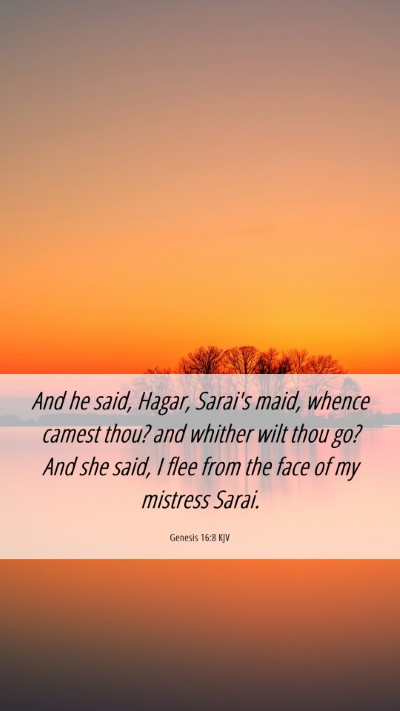 Picture 06 - Genesis 16:8 KJV Mobile Phone Wallpaper - And he said, Hagar, Sarai's maid, whence camest - Mobile Bible Verse Wallpaper