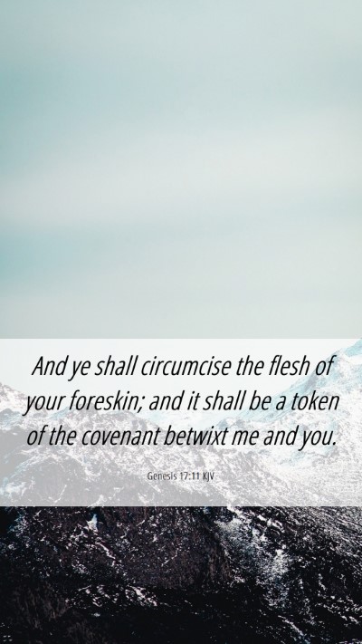 Picture 06 - Genesis 17:11 KJV Mobile Phone Wallpaper - And ye shall circumcise the flesh of your - Mobile Bible Verse Wallpaper
