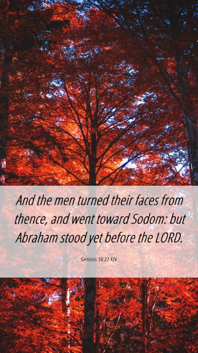Picture 06 - Genesis 18:22 KJV Mobile Phone Wallpaper - And the men turned their faces from thence, and - Mobile Bible Verse Wallpaper