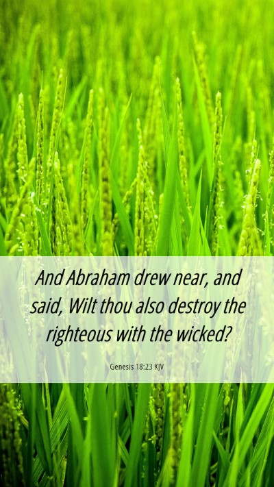 Picture 06 - Genesis 18:23 KJV Mobile Phone Wallpaper - And Abraham drew near, and said, Wilt thou also - Mobile Bible Verse Wallpaper