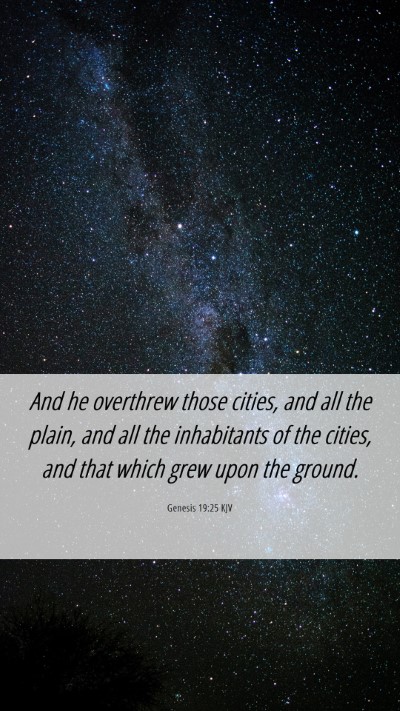 Picture 06 - Genesis 19:25 KJV Mobile Phone Wallpaper - And he overthrew those cities, and all the plain, - Mobile Bible Verse Wallpaper