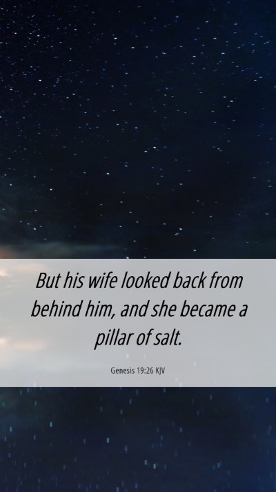 Picture 06 - Genesis 19:26 KJV Mobile Phone Wallpaper - But his wife looked back from behind him, and she - Mobile Bible Verse Wallpaper