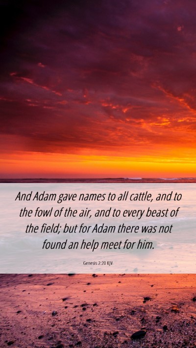 Picture 06 - Genesis 2:20 KJV Mobile Phone Wallpaper - And Adam gave names to all cattle, and to the - Mobile Bible Verse Wallpaper