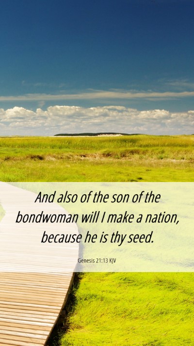 Picture 06 - Genesis 21:13 KJV Mobile Phone Wallpaper - And also of the son of the bondwoman will I make - Mobile Bible Verse Wallpaper