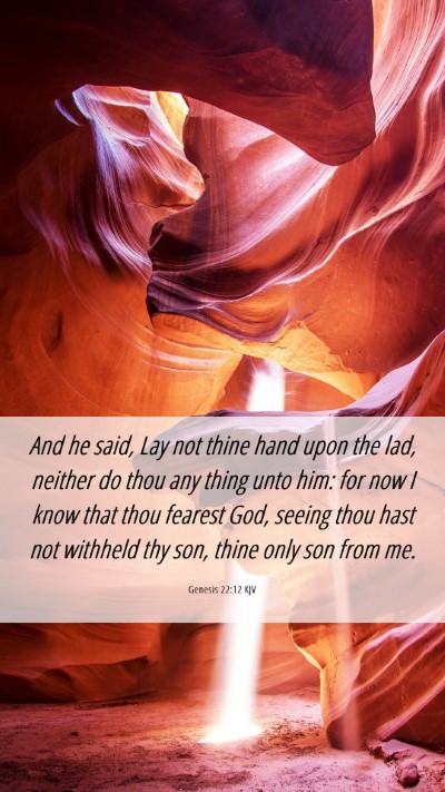 Picture 06 - Genesis 22:12 KJV Mobile Phone Wallpaper - And he said, Lay not thine hand upon the lad, - Mobile Bible Verse Wallpaper