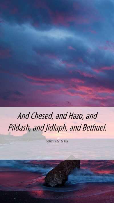 Picture 06 - Genesis 22:22 KJV Mobile Phone Wallpaper - And Chesed, and Hazo, and Pildash, and Jidlaph, - Mobile Bible Verse Wallpaper