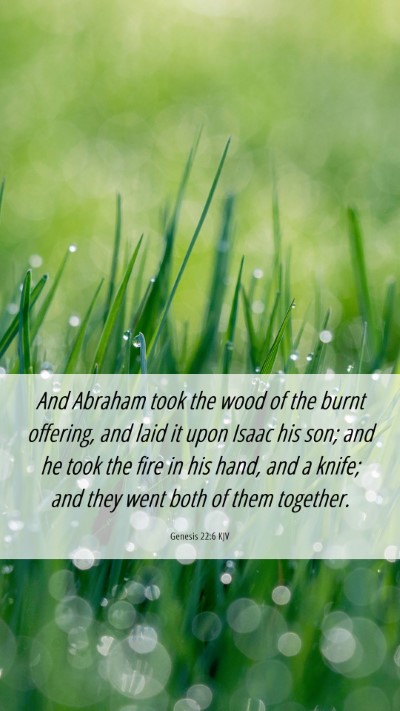 Picture 06 - Genesis 22:6 KJV Mobile Phone Wallpaper - And Abraham took the wood of the burnt offering, - Mobile Bible Verse Wallpaper