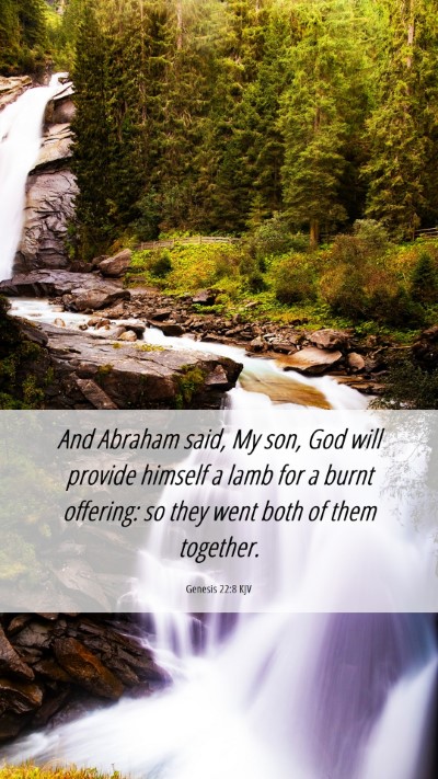 Picture 06 - Genesis 22:8 KJV Mobile Phone Wallpaper - And Abraham said, My son, God will provide - Mobile Bible Verse Wallpaper