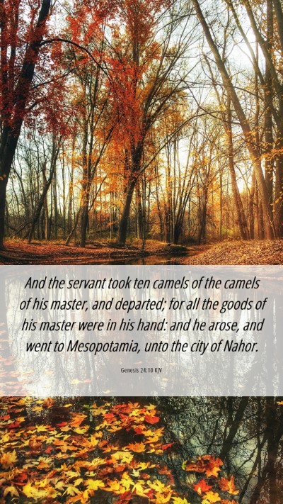 Picture 06 - Genesis 24:10 KJV Mobile Phone Wallpaper - And the servant took ten camels of the camels of - Mobile Bible Verse Wallpaper