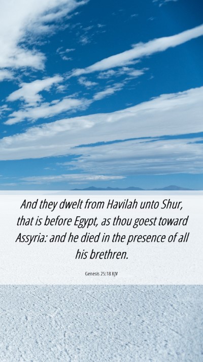 Picture 06 - Genesis 25:18 KJV Mobile Phone Wallpaper - And they dwelt from Havilah unto Shur, that is - Mobile Bible Verse Wallpaper