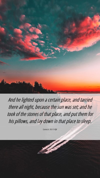 Picture 06 - Genesis 28:11 KJV Mobile Phone Wallpaper - And he lighted upon a certain place, and tarried - Mobile Bible Verse Wallpaper