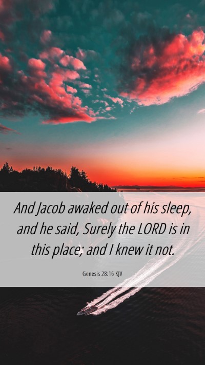 Picture 06 - Genesis 28:16 KJV Mobile Phone Wallpaper - And Jacob awaked out of his sleep, and he said, - Mobile Bible Verse Wallpaper