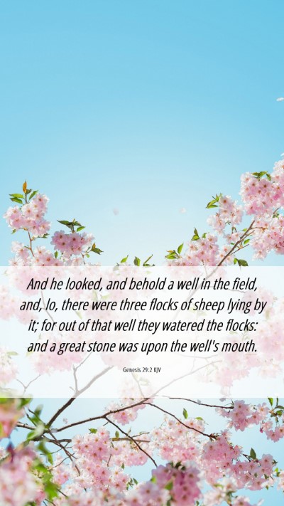 Picture 06 - Genesis 29:2 KJV Mobile Phone Wallpaper - And he looked, and behold a well in the field, - Mobile Bible Verse Wallpaper