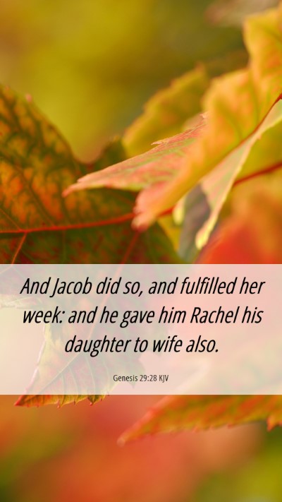 Picture 06 - Genesis 29:28 KJV Mobile Phone Wallpaper - And Jacob did so, and fulfilled her week: and he - Mobile Bible Verse Wallpaper