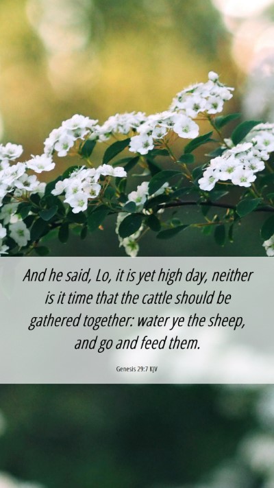 Picture 06 - Genesis 29:7 KJV Mobile Phone Wallpaper - And he said, Lo, it is yet high day, neither is - Mobile Bible Verse Wallpaper