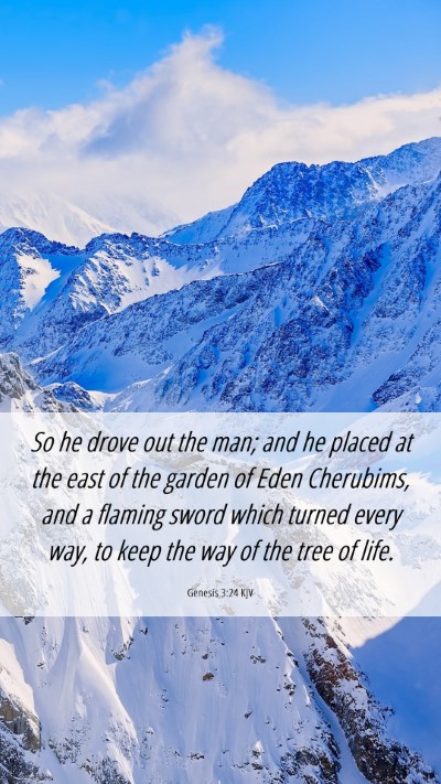 Picture 06 - Genesis 3:24 KJV Mobile Phone Wallpaper - So he drove out the man; and he placed at the - Mobile Bible Verse Wallpaper