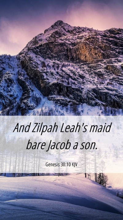 Picture 06 - Genesis 30:10 KJV Mobile Phone Wallpaper - And Zilpah Leah's maid bare Jacob a - Mobile Bible Verse Wallpaper