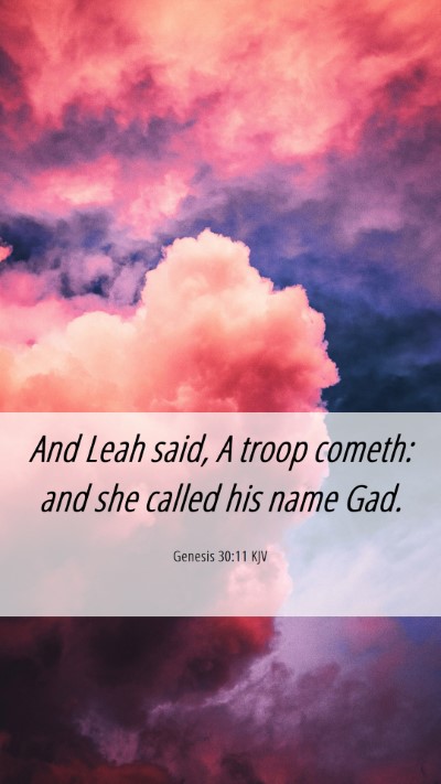 Picture 06 - Genesis 30:11 KJV Mobile Phone Wallpaper - And Leah said, A troop cometh: and she called his - Mobile Bible Verse Wallpaper