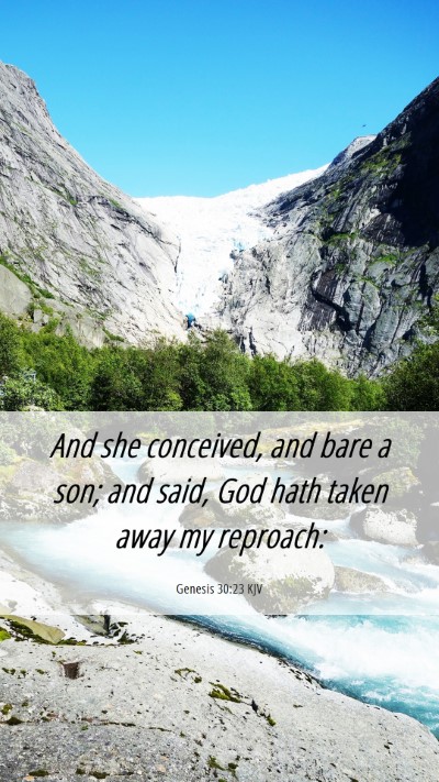 Picture 06 - Genesis 30:23 KJV Mobile Phone Wallpaper - And she conceived, and bare a son; and said, God - Mobile Bible Verse Wallpaper