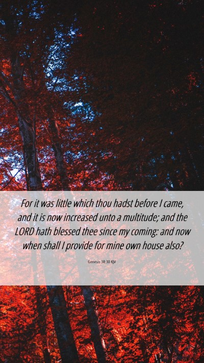 Picture 06 - Genesis 30:30 KJV Mobile Phone Wallpaper - For it was little which thou hadst before I came, - Mobile Bible Verse Wallpaper