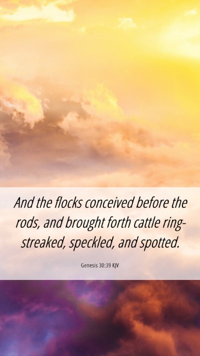 Picture 06 - Genesis 30:39 KJV Mobile Phone Wallpaper - And the flocks conceived before the rods, and - Mobile Bible Verse Wallpaper