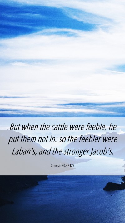 Picture 06 - Genesis 30:42 KJV Mobile Phone Wallpaper - But when the cattle were feeble, he put them not - Mobile Bible Verse Wallpaper