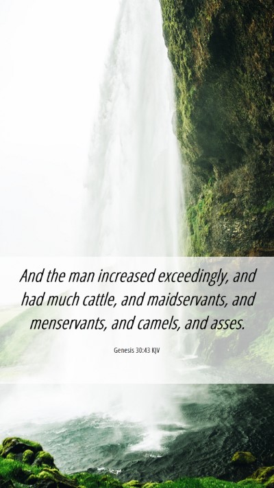 Picture 06 - Genesis 30:43 KJV Mobile Phone Wallpaper - And the man increased exceedingly, and had much - Mobile Bible Verse Wallpaper