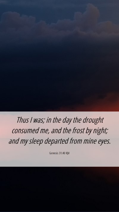 Picture 06 - Genesis 31:40 KJV Mobile Phone Wallpaper - Thus I was; in the day the drought consumed me, - Mobile Bible Verse Wallpaper