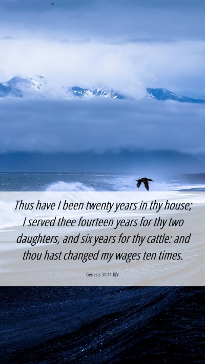 Picture 06 - Genesis 31:41 KJV Mobile Phone Wallpaper - Thus have I been twenty years in thy house; I - Mobile Bible Verse Wallpaper