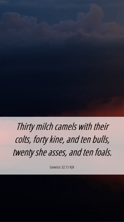 Picture 06 - Genesis 32:15 KJV Mobile Phone Wallpaper - Thirty milch camels with their colts, forty kine, - Mobile Bible Verse Wallpaper