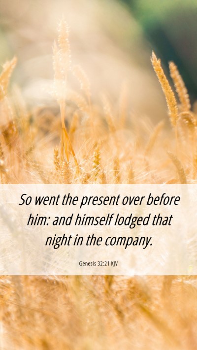 Picture 06 - Genesis 32:21 KJV Mobile Phone Wallpaper - So went the present over before him: and himself - Mobile Bible Verse Wallpaper