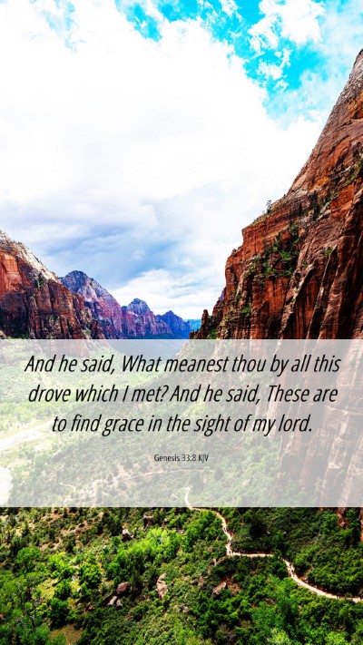 Picture 06 - Genesis 33:8 KJV Mobile Phone Wallpaper - And he said, What meanest thou by all this drove - Mobile Bible Verse Wallpaper