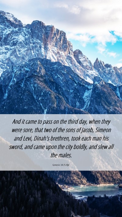 Picture 06 - Genesis 34:25 KJV Mobile Phone Wallpaper - And it came to pass on the third day, when they - Mobile Bible Verse Wallpaper
