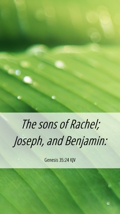 Picture 06 - Genesis 35:24 KJV Mobile Phone Wallpaper - The sons of Rachel; Joseph, and - Mobile Bible Verse Wallpaper