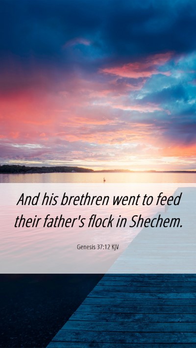 Picture 06 - Genesis 37:12 KJV Mobile Phone Wallpaper - And his brethren went to feed their father's - Mobile Bible Verse Wallpaper