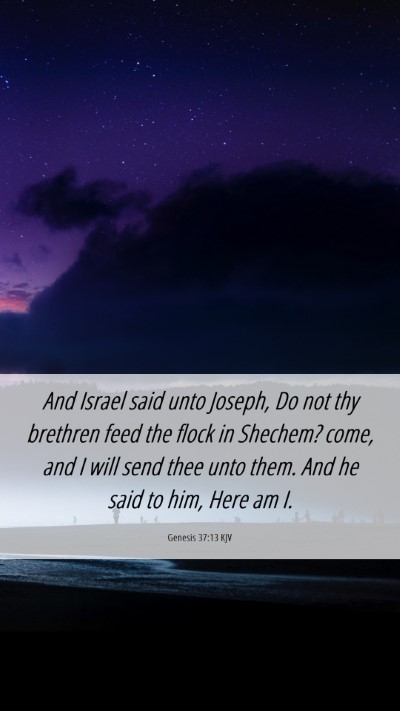 Picture 06 - Genesis 37:13 KJV Mobile Phone Wallpaper - And Israel said unto Joseph, Do not thy brethren - Mobile Bible Verse Wallpaper