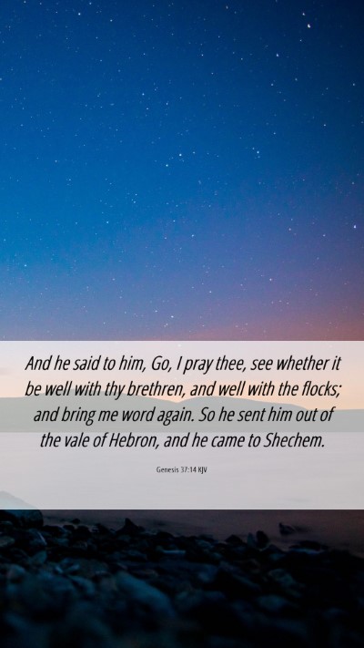 Picture 06 - Genesis 37:14 KJV Mobile Phone Wallpaper - And he said to him, Go, I pray thee, see whether - Mobile Bible Verse Wallpaper