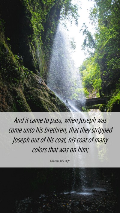 Picture 06 - Genesis 37:23 KJV Mobile Phone Wallpaper - And it came to pass, when Joseph was come unto - Mobile Bible Verse Wallpaper